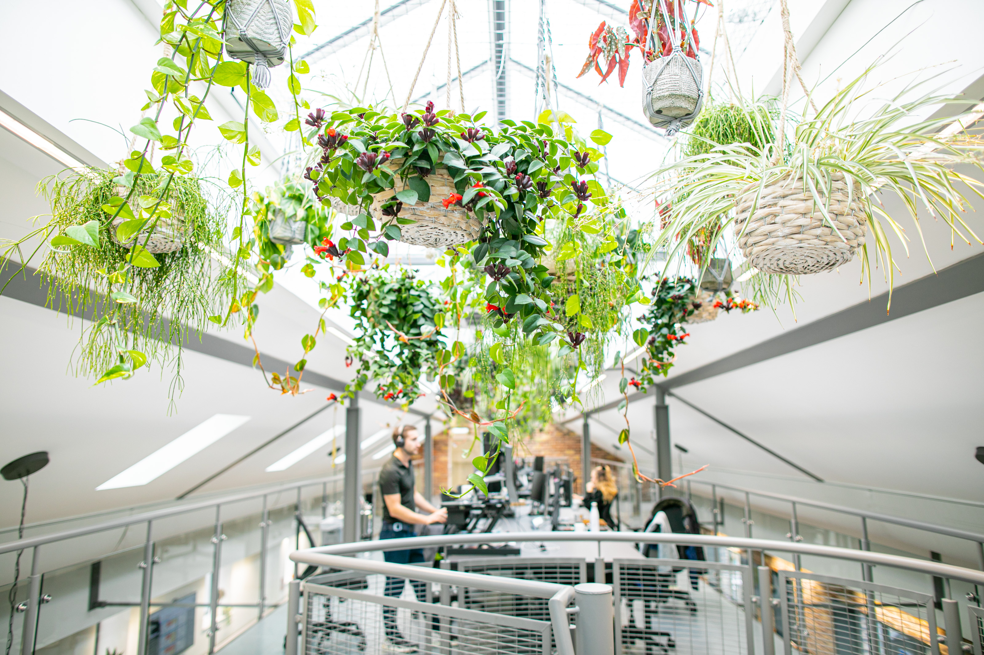 x+why - Huguenot Place; Credit: x+why - Huguenot Place