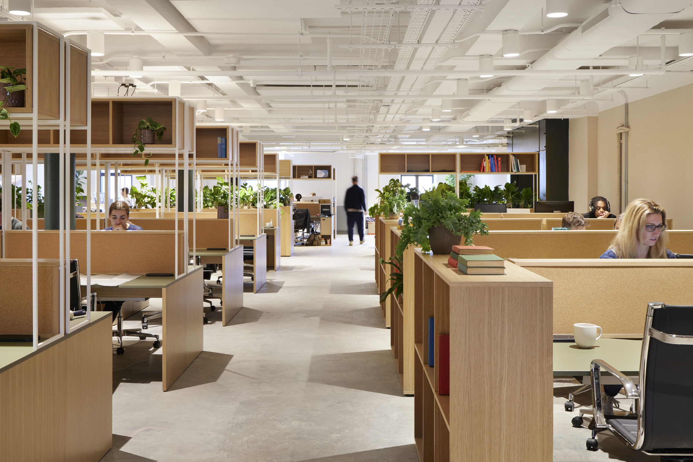 x+why - Arding & Hobbs; Credit: x+why - Arding & Hobbs